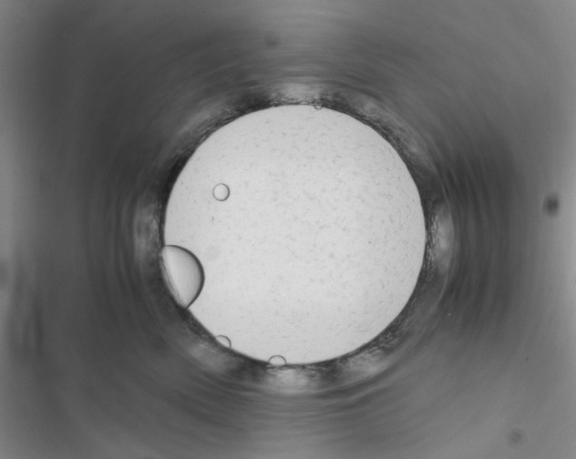 X0000116660522201001251220