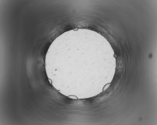 X0000116660523201001251220