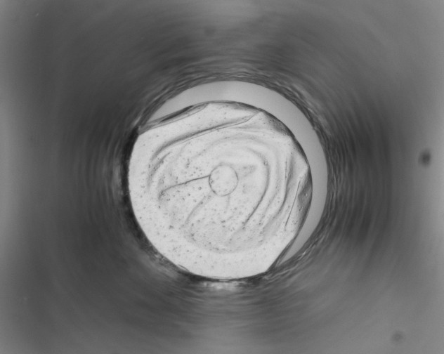 X0000116660524201001251220