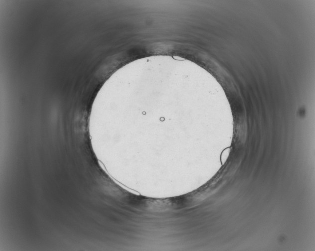 X0000116660525201001251220