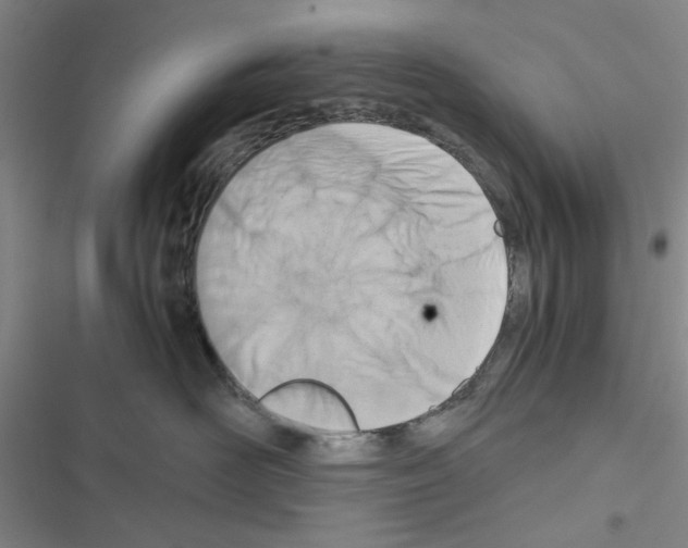 X0000116660526201001251220