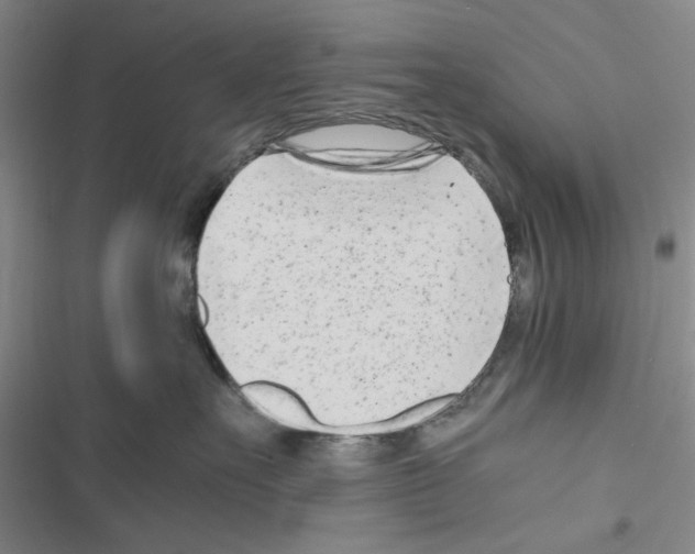 X0000116660527201001251220