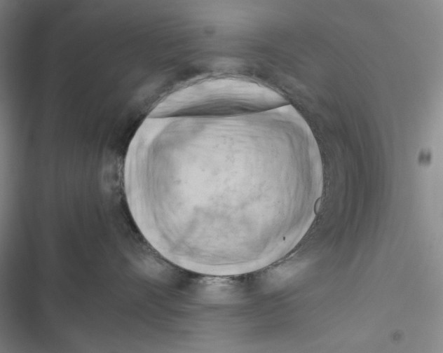 X0000116660528201001251220