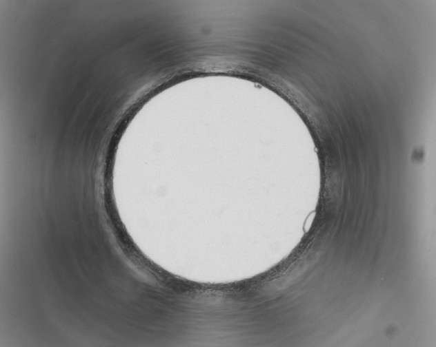 X0000116660530201001251220