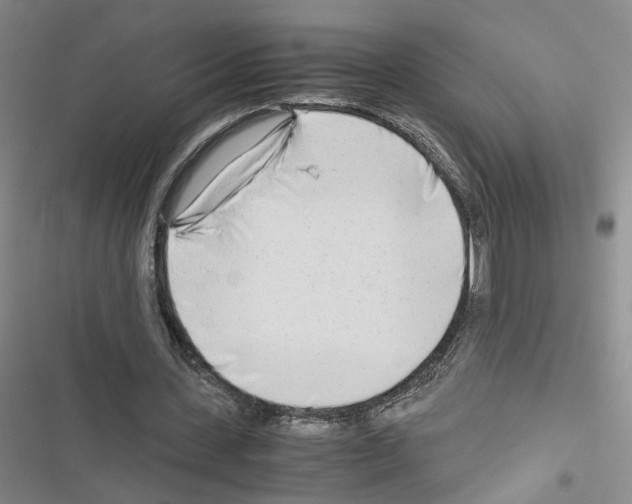 X0000116660531201001251220