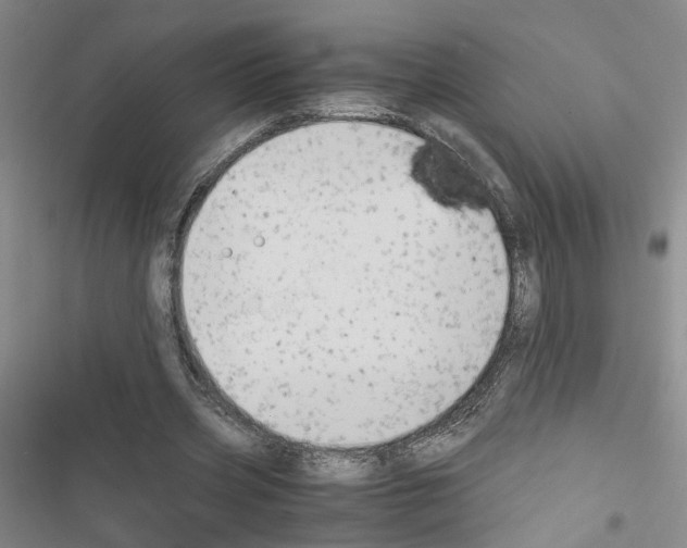 X0000116660533201001251220