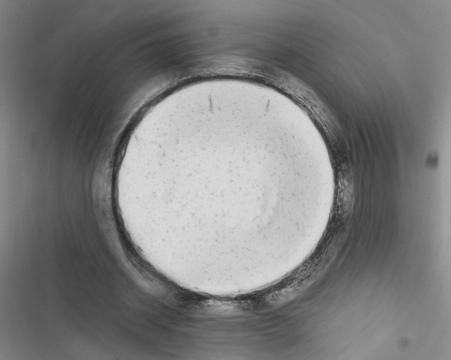 X0000116660534201001251220