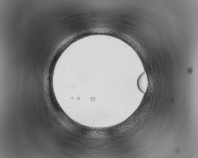 X0000116660535201001251220
