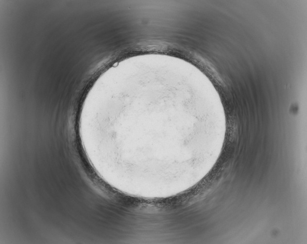 X0000116660538201001251220