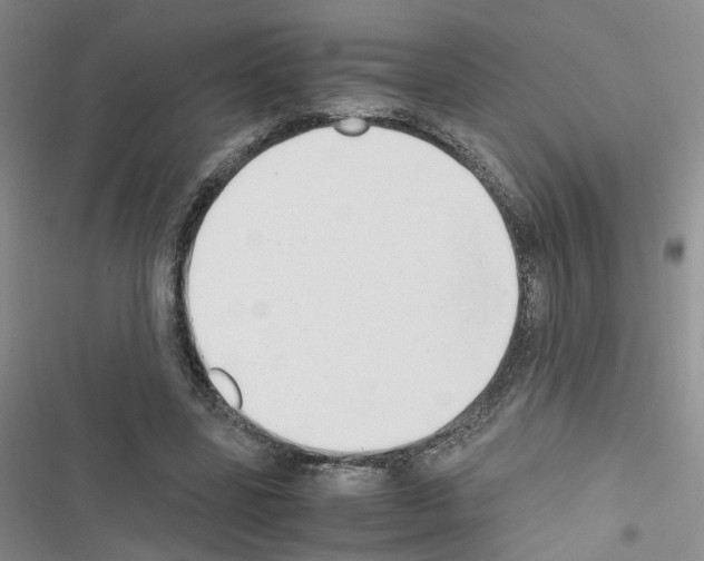 X0000116660539201001251220