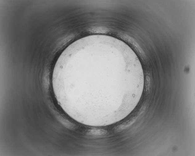 X0000116660541201001251220