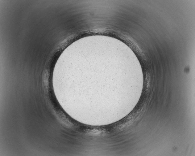 X0000116660542201001251220