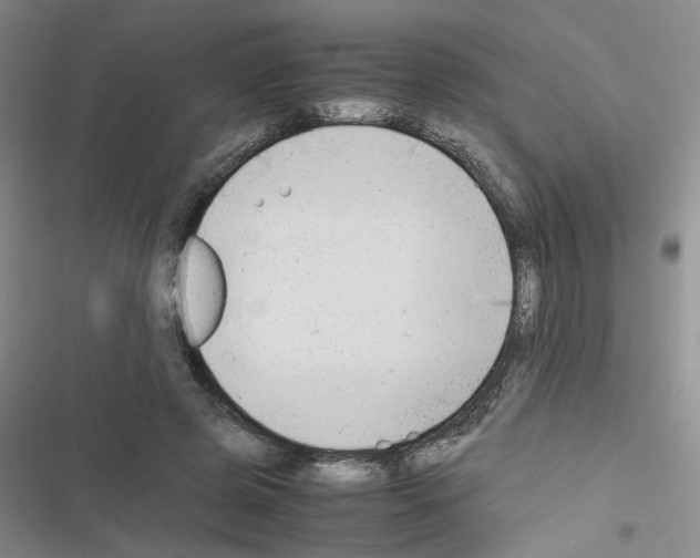 X0000116660545201001251220