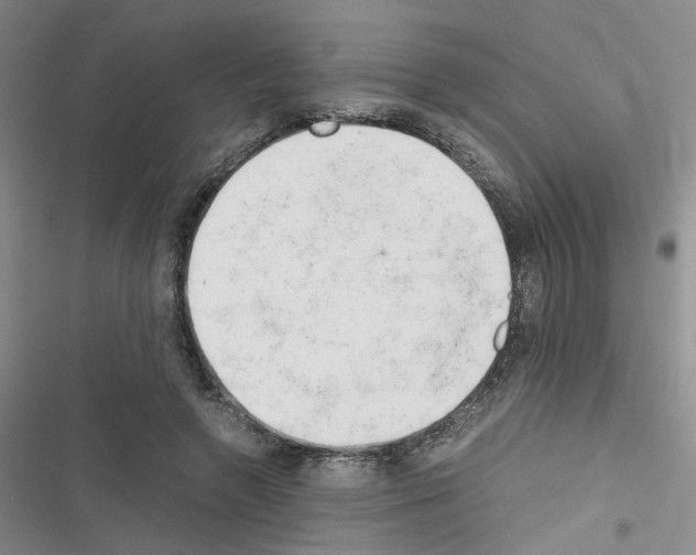 X0000116660546201001251220