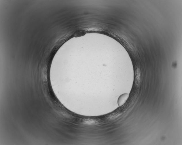 X0000116660547201001251220
