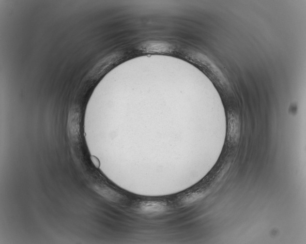 X0000116660549201001251220