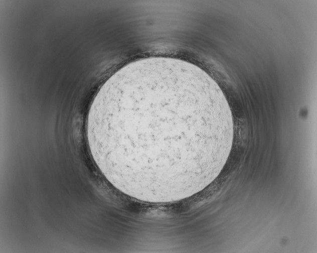 X0000116660550201001251220