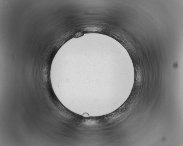 X0000116660551201001251220
