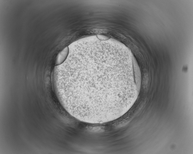 X0000116660553201001251220