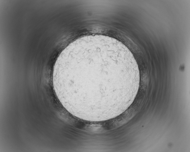X0000116660554201001251220