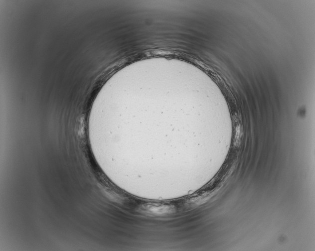 X0000116660555201001251220