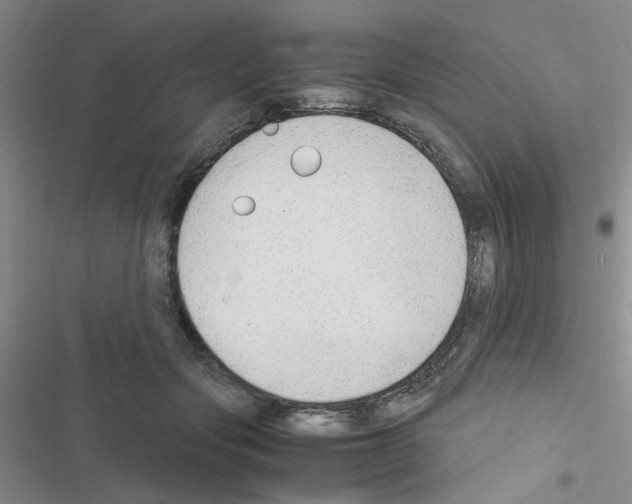 X0000116660557201001251220
