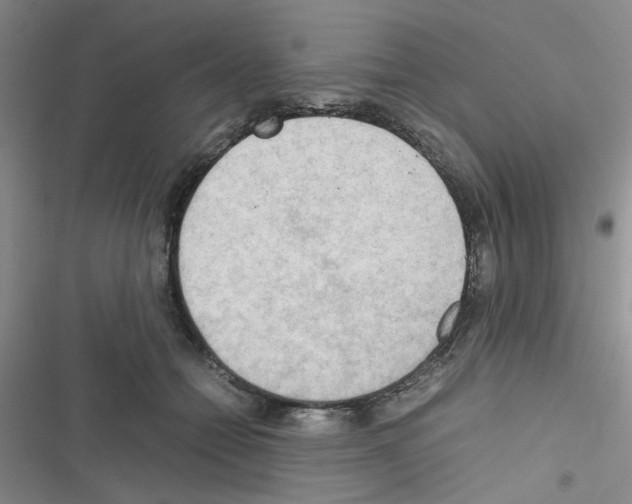 X0000116660558201001251220