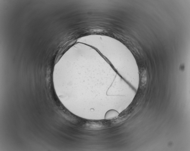 X0000116660559201001251220