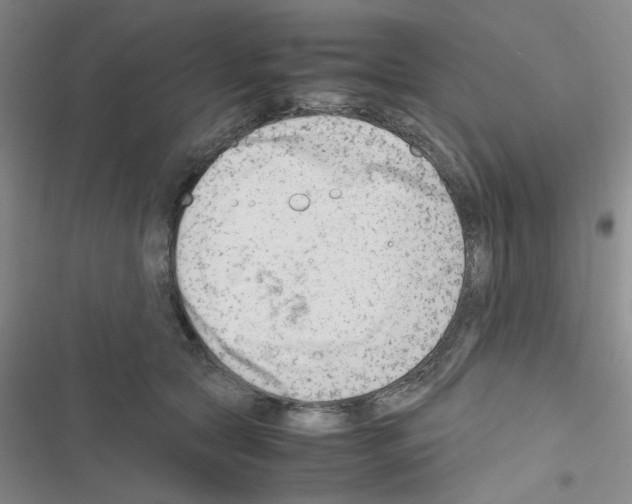 X0000116660561201001251220