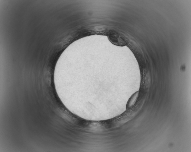 X0000116660562201001251220
