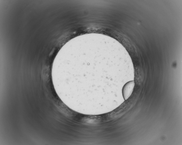 X0000116660563201001251220
