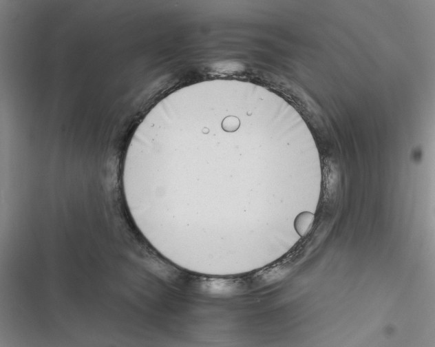 X0000116660565201001251220