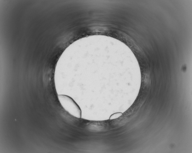 X0000116660567201001251220