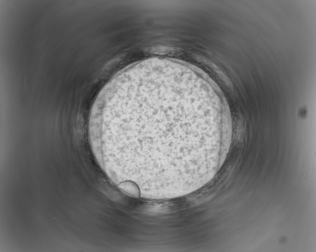 X0000116660569201001251220