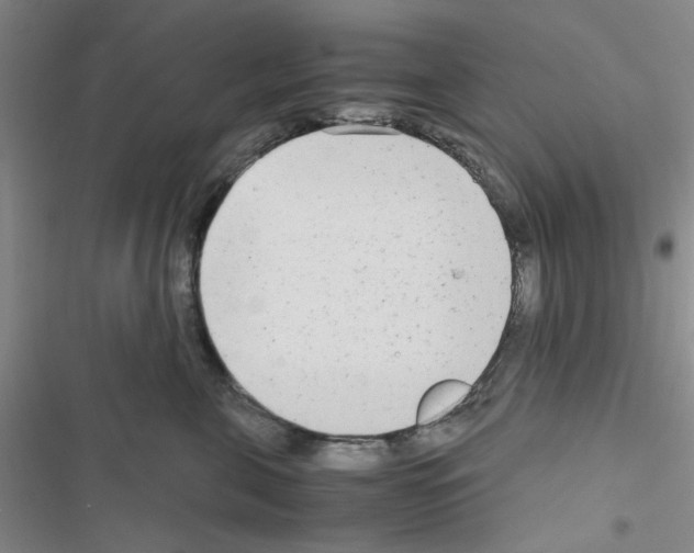 X0000116660571201001251220