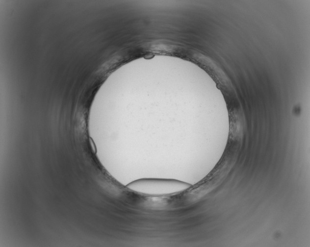 X0000116660573201001251220