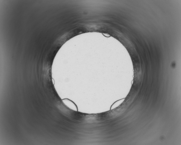 X0000116660574201001251220