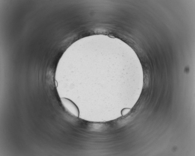 X0000116660575201001251220