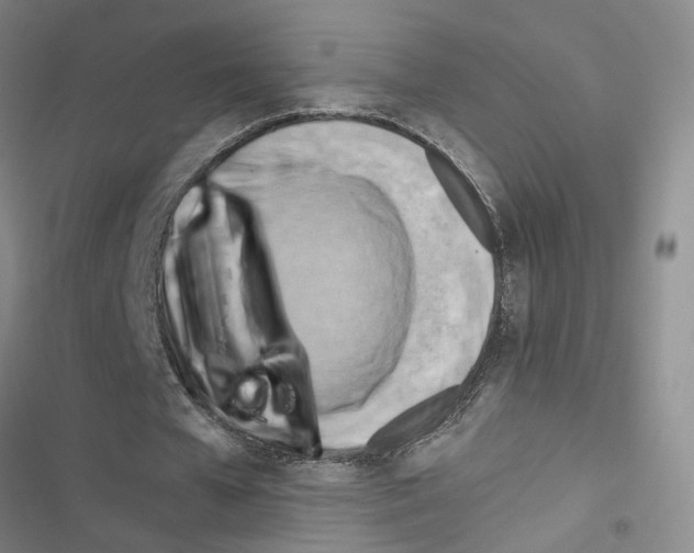 X0000116660577201001251220