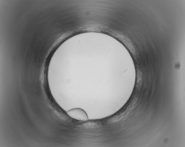 X0000116660578201001251220