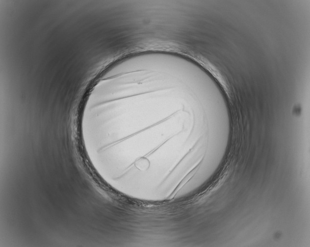 X0000116660581201001251219