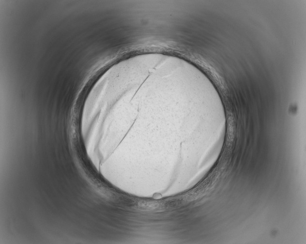 X0000116660582201001251219