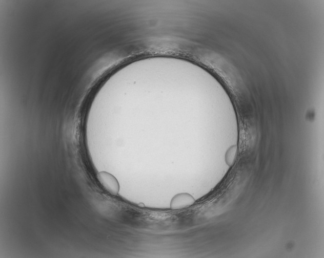 X0000116660583201001251219