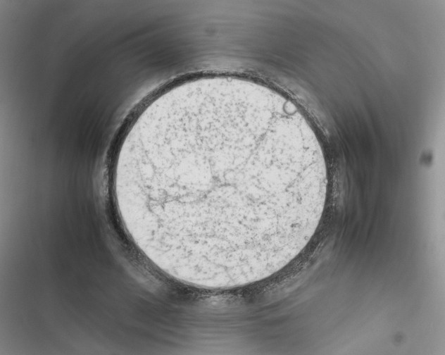 X0000116660584201001251219