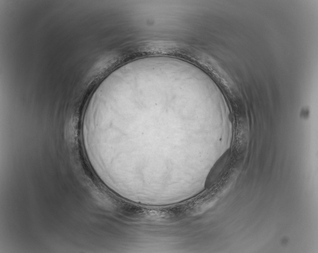 X0000116660585201001251219