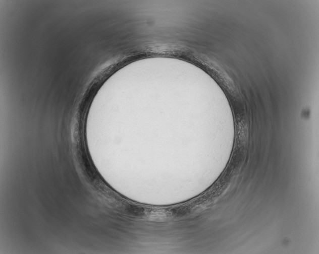 X0000116660587201001251219