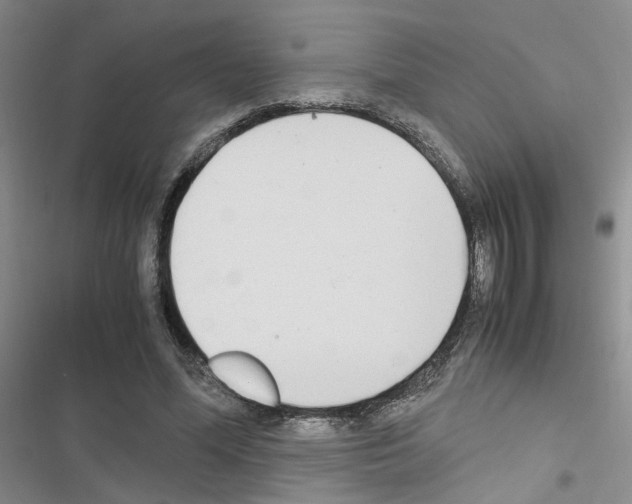 X0000116660588201001251219