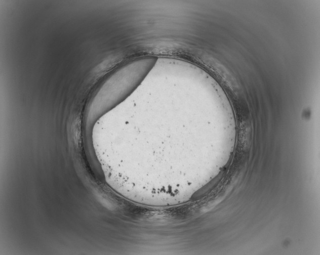 X0000116660589201001251219