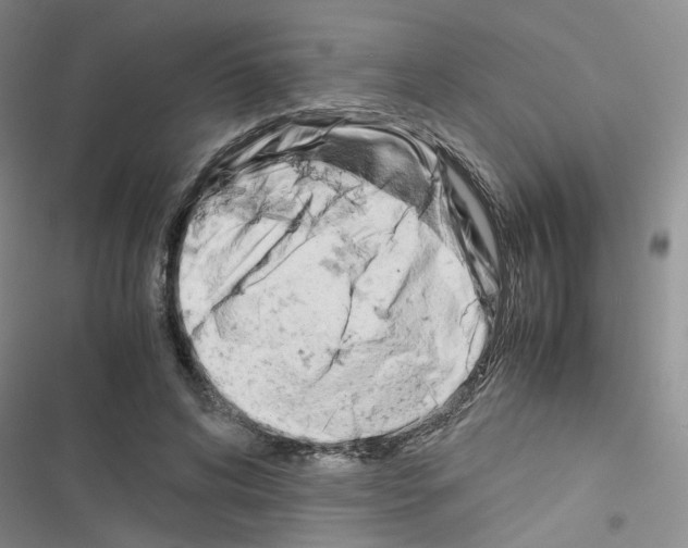 X0000116660592201001251219