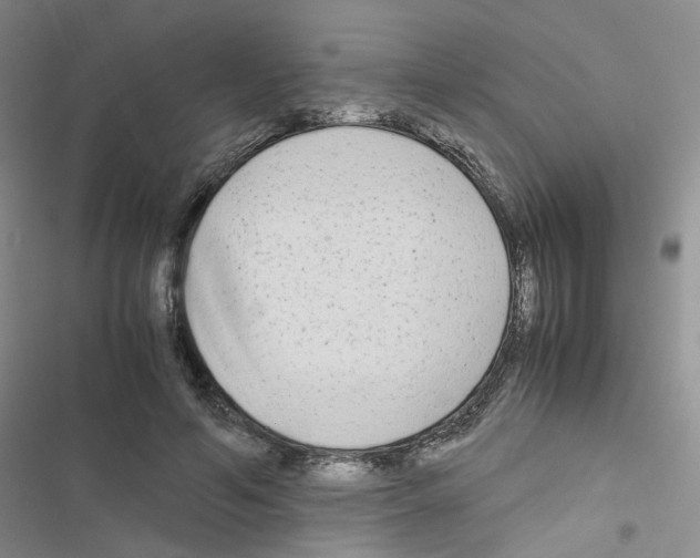 X0000116660594201001251219